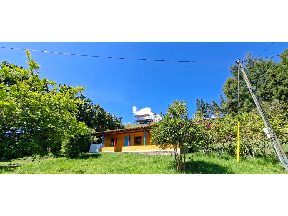 SE VENDE FINCA EN GUARNE VDA LA MOSQUITA — foto 4