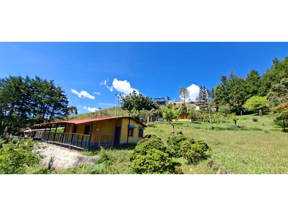 SE VENDE FINCA EN GUARNE VDA LA MOSQUITA — foto 5