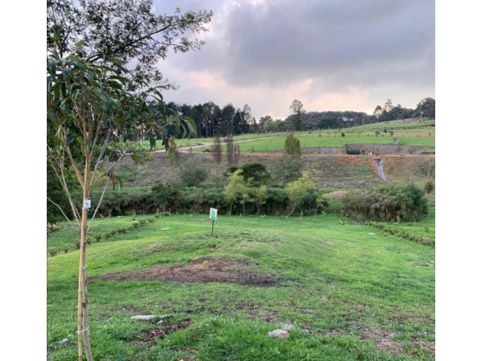 LOTE TOTALMENTE PLANO EN PARCELACION EN SAN PEDRO DE LOS MILAGROS — foto 5
