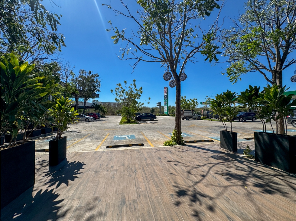 Xcumpich Local Comercial En Planta Baja Plaza Vector Sobre Avenida - 2