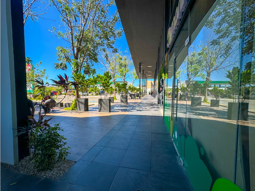 Xcumpich Amplio Local Comercial En Planta Alta Renta Plaza Vector - 3