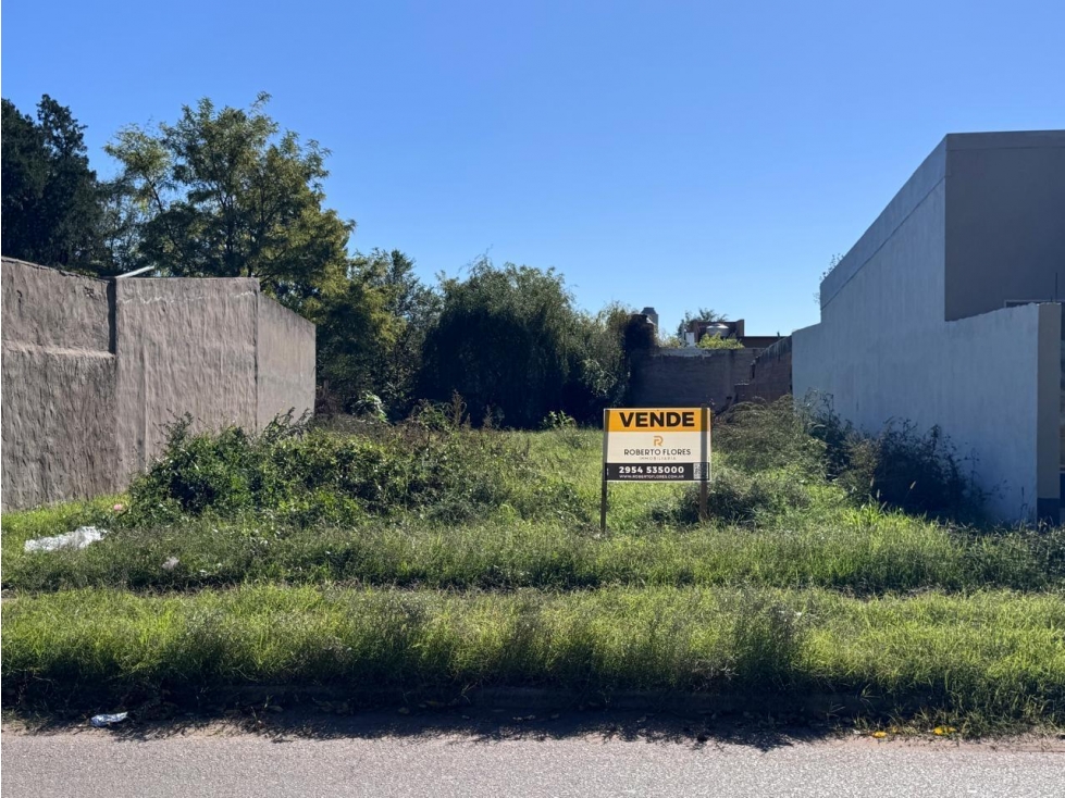 VENTA: Lote sobre Avda Peron y Felipe Juarez de Toay - 1