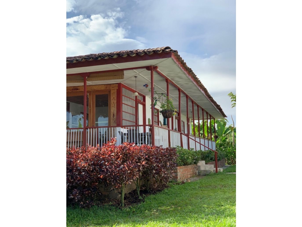 Finca - 6