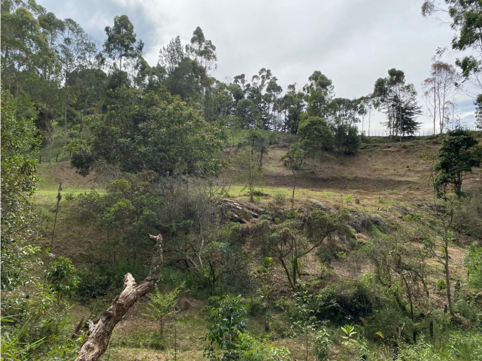 LOTE INDEPENDIENTE EN VENTA EN RIONEGRO