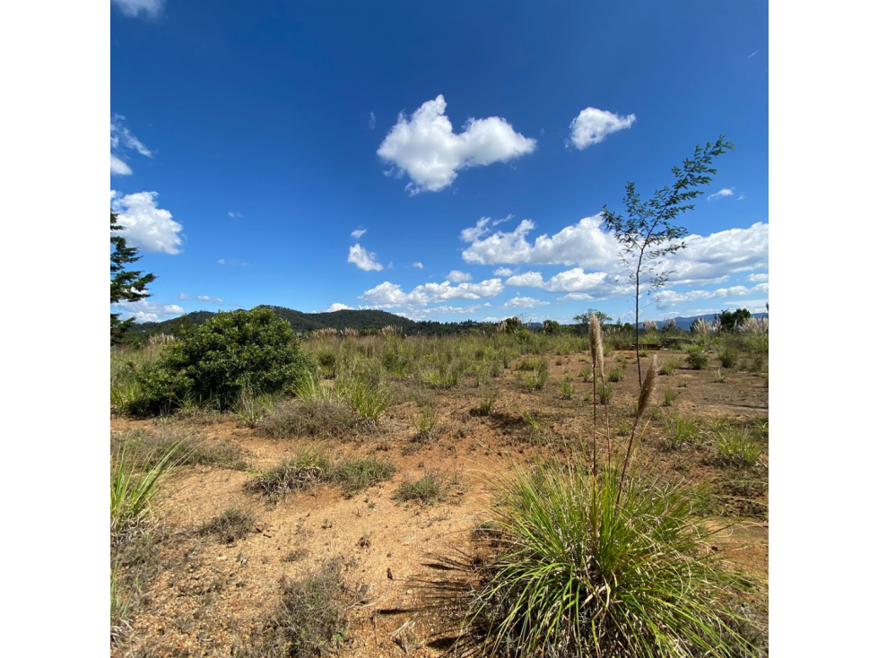 HERMOSO LOTE DE GRAN TAMAÑO CON VISTA 360 EN EL RETIRO — foto 2