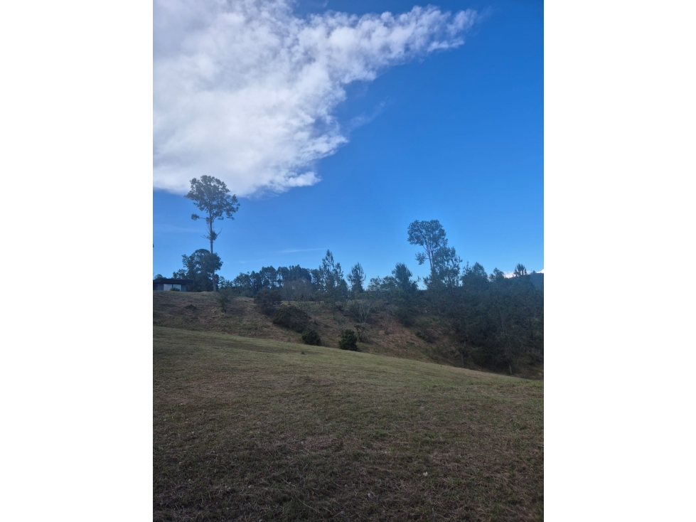 HERMOSO LOTE EN VENTA EN HORIZONTES EN EL RETIRO (VÍA LA CEJA) — foto 4
