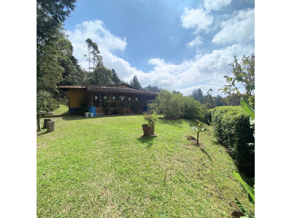 CASA TRADICIONAL EN EL BOSQUE EN SANTA ELENA — foto 4
