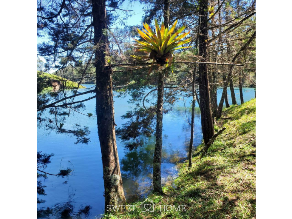 HERMOSO LOTE TURISTICO EN VENTA EN GUATAPÉ — foto 3