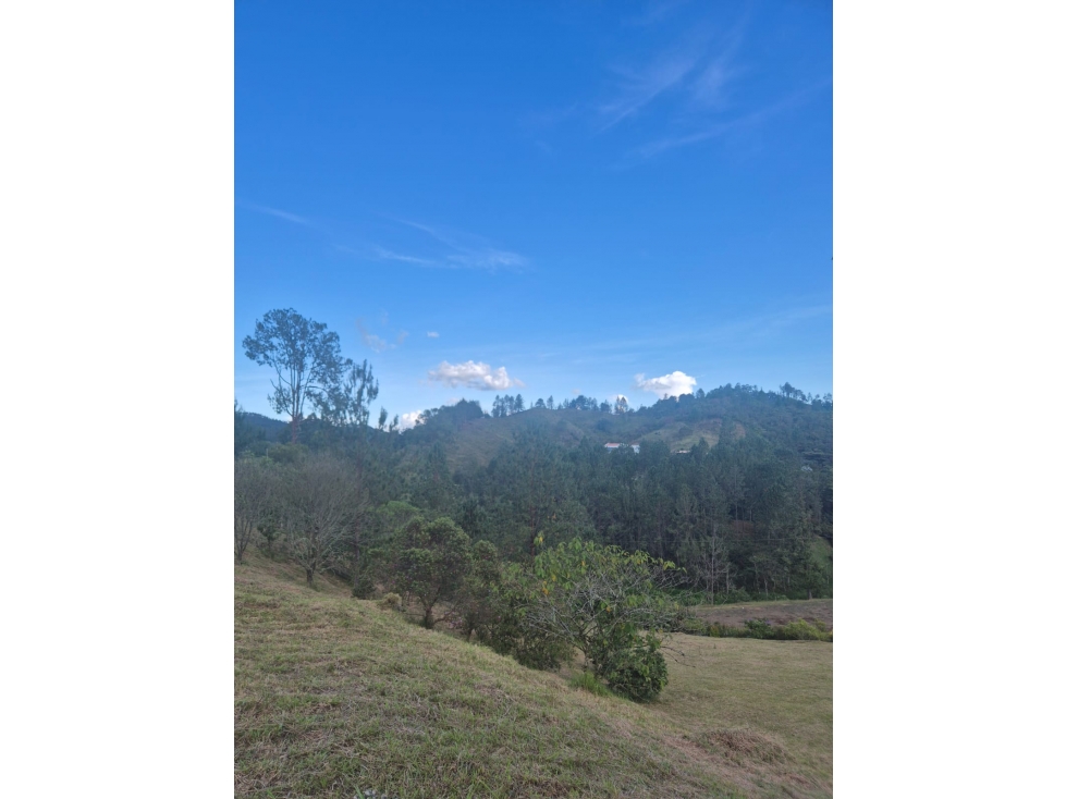 HERMOSO LOTE EN VENTA EN HORIZONTES EN EL RETIRO (VÍA LA CEJA) — foto 6