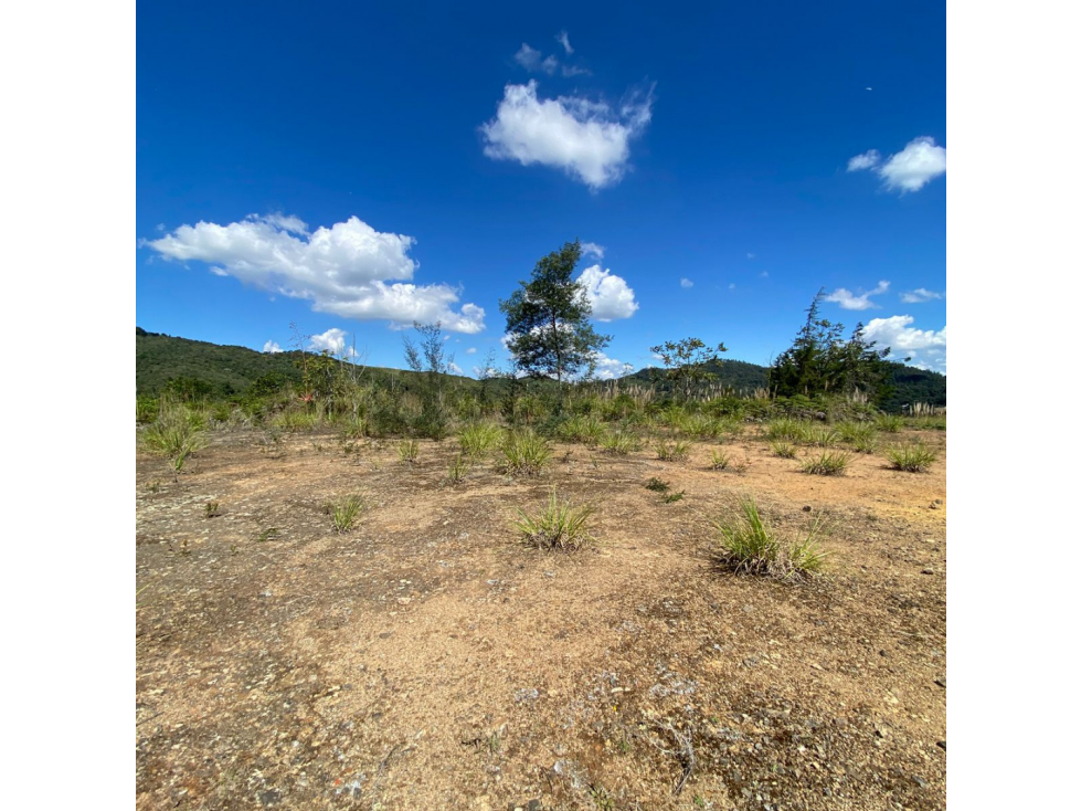 HERMOSO LOTE DE GRAN TAMAÑO CON VISTA 360 EN EL RETIRO — foto 5