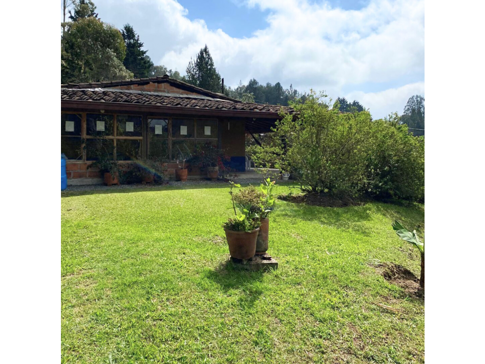 CASA TRADICIONAL EN EL BOSQUE EN SANTA ELENA — foto 5