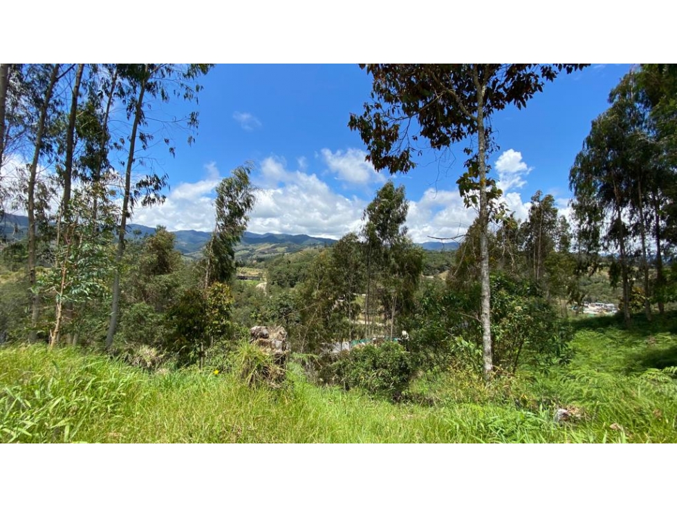 LOTE EN VENTA EN UNIDAD CERRADA - 6