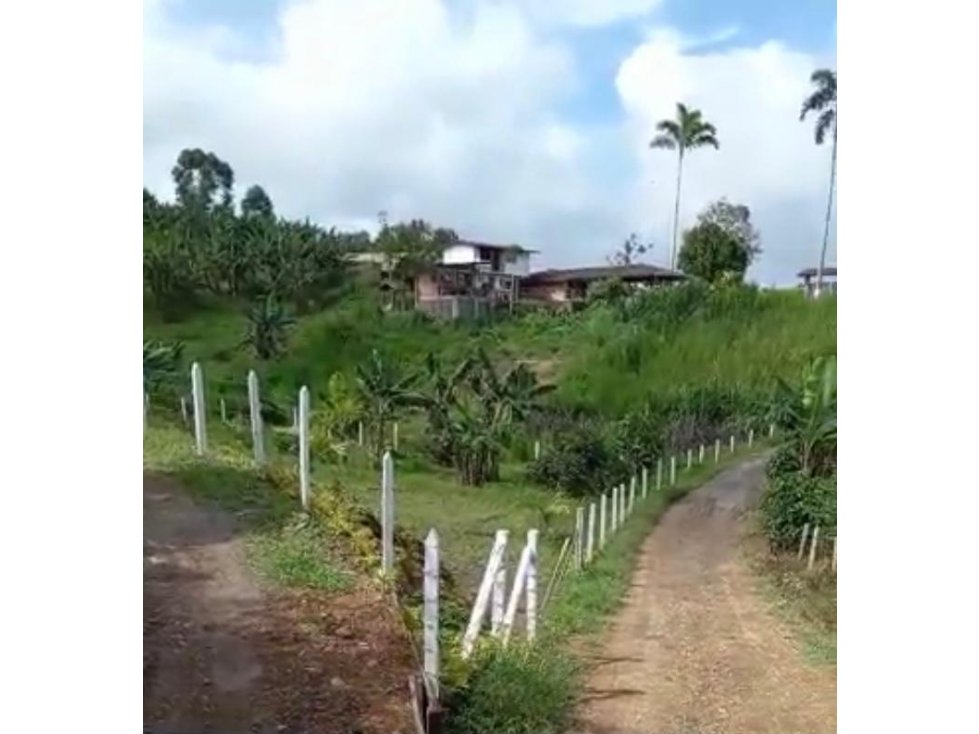 Se vende lote en Arabia, Yarumal