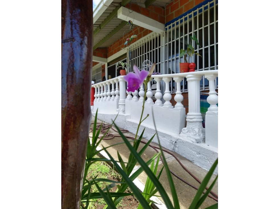 Se vende Casa Campestre en Via Viterbo Caldas - 4