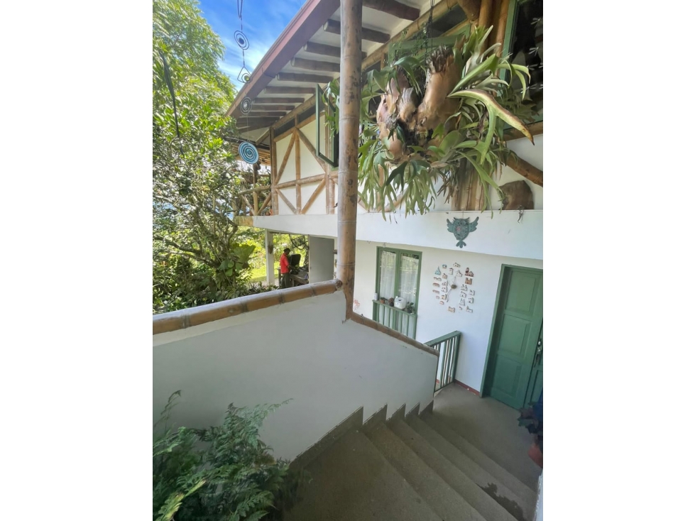 En venta hermosa finca en Viterbo, Caldas - 6