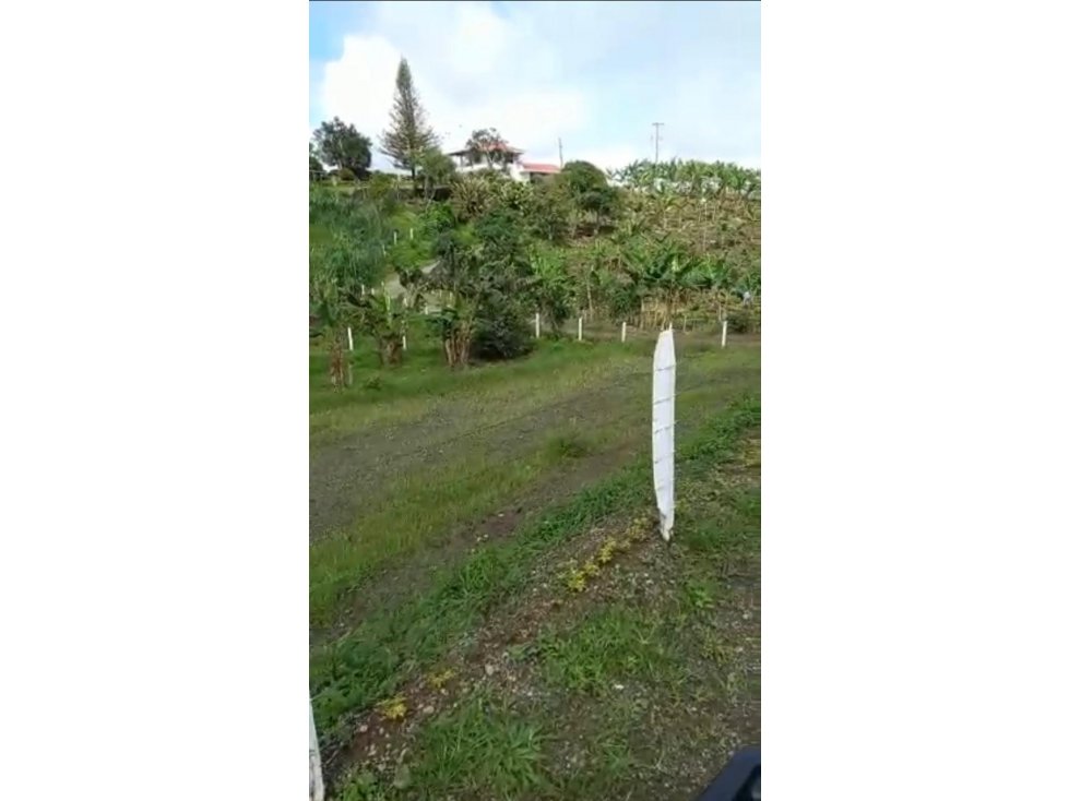 Se vende lote en Arabia, Yarumal - 2