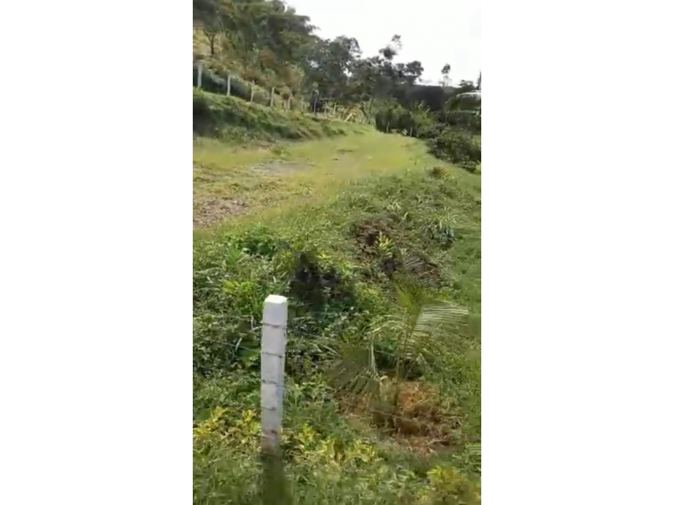 Se vende lote en Arabia, Yarumal - 3