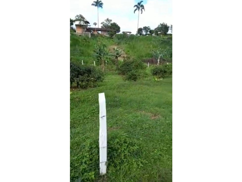 Se vende lote en Arabia, Yarumal - 4