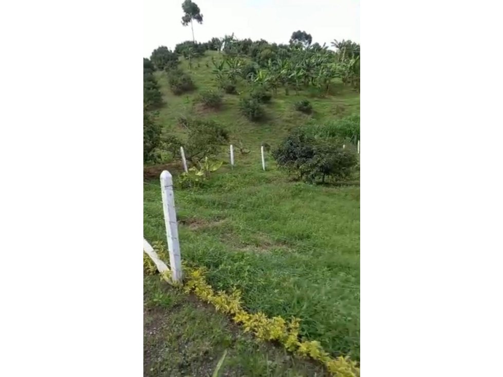 Se vende lote en Arabia, Yarumal - 5