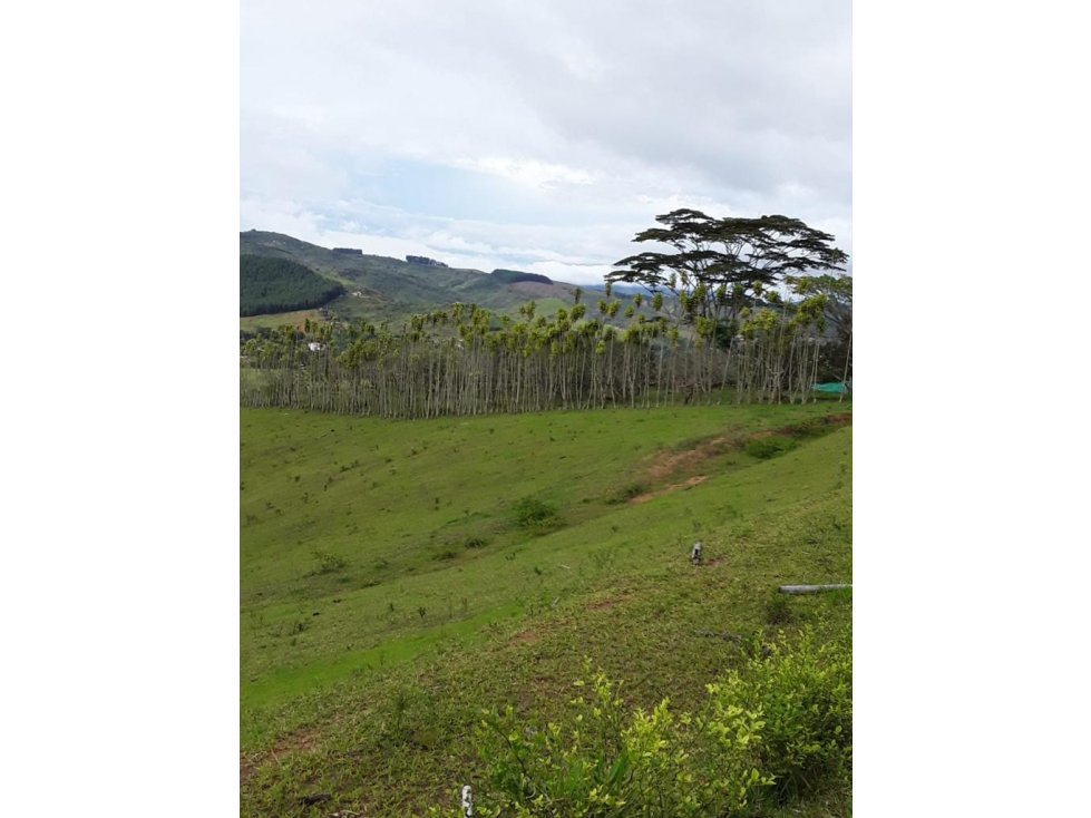 Se vende Lote en La Cumbre, Valle del Cauca - 5