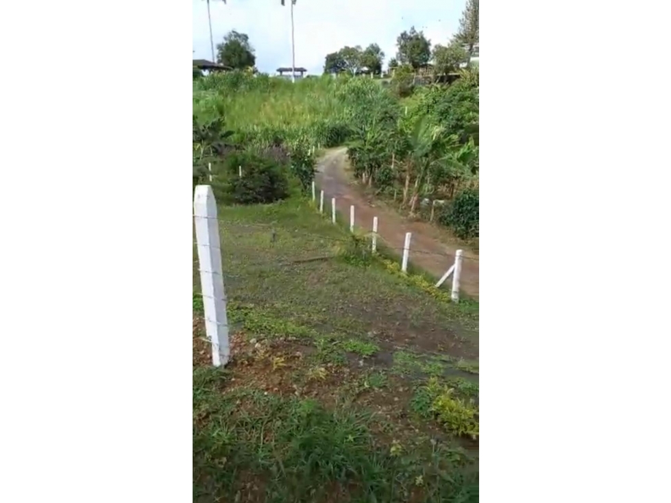 Se vende lote en Arabia, Yarumal - 6