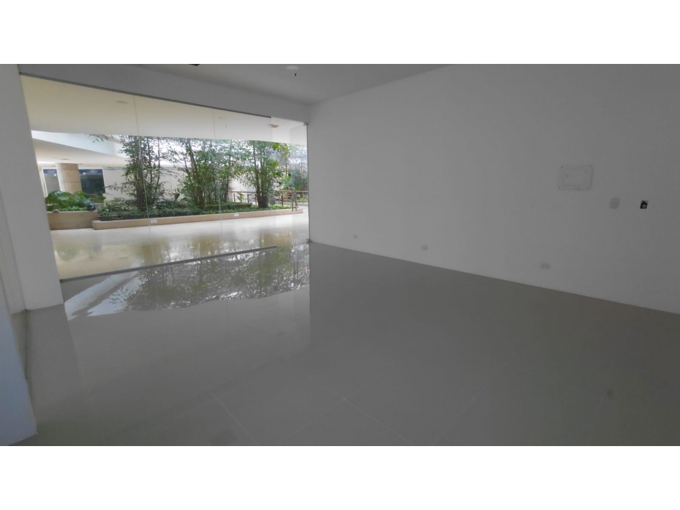 LOCAL COMERCIAL EN VENTA EN BLUE GARDEN — foto 3