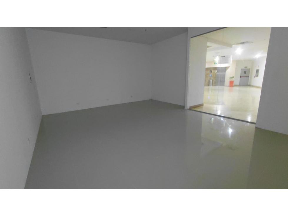 LOCAL COMERCIAL EN VENTA EN BLUE GARDEN — foto 4