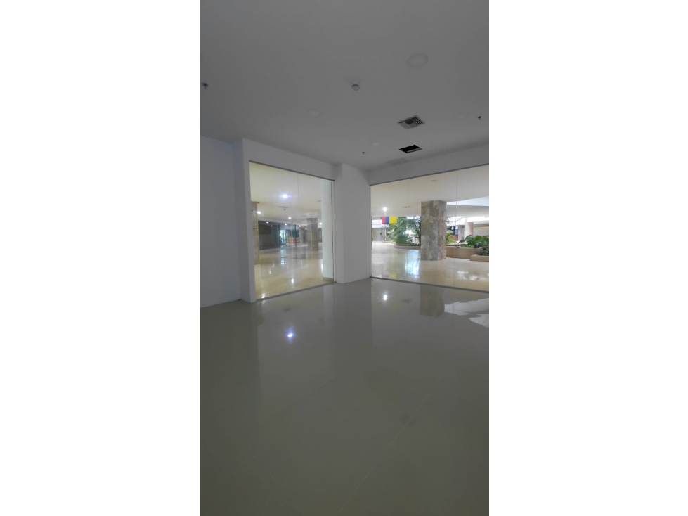 LOCAL COMERCIAL EN VENTA EN BLUE GARDEN — foto 5