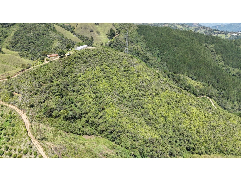Se vende lote ubicado en el municipio de La Ceja, Antioquia. — foto 3