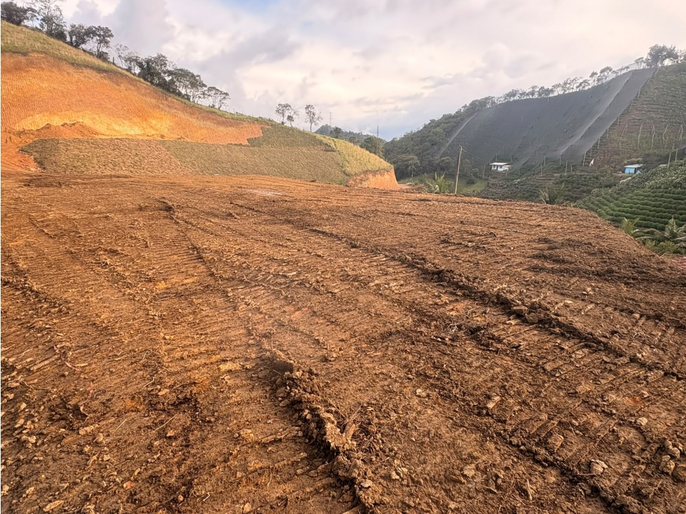 Se vende Lote ubicado en el municipio de La Ceja Antioquia.