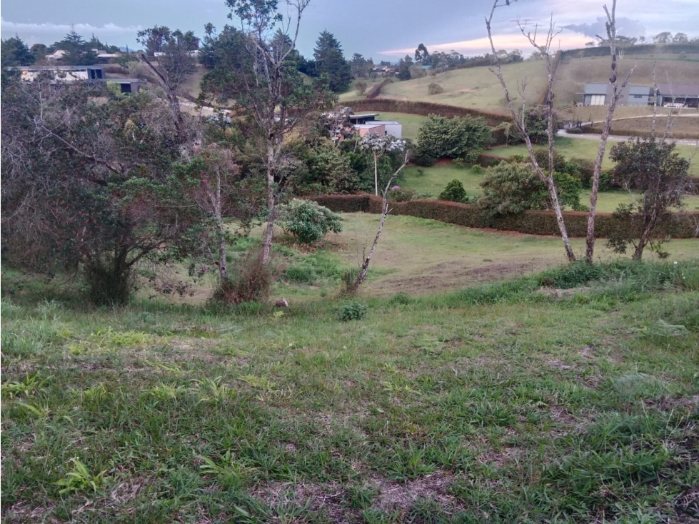 Se vende lote en el municipio de El Carmen de Viboral Antioquia. — foto 5