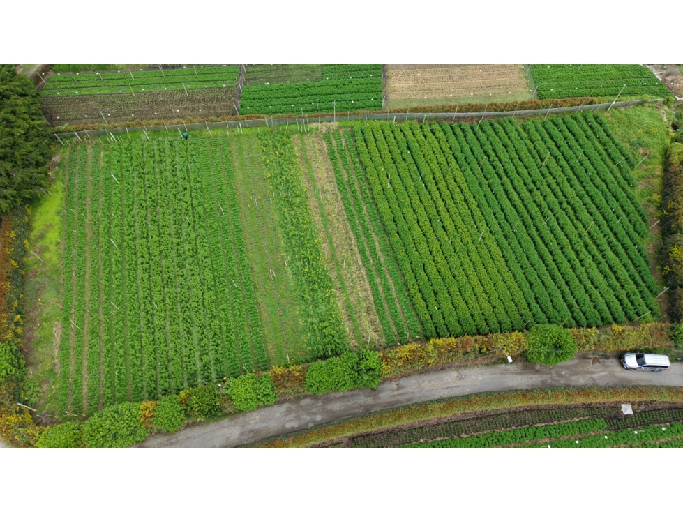Se vende lote ubicado en el municipio de Rionegro, Antioquia. — foto 5