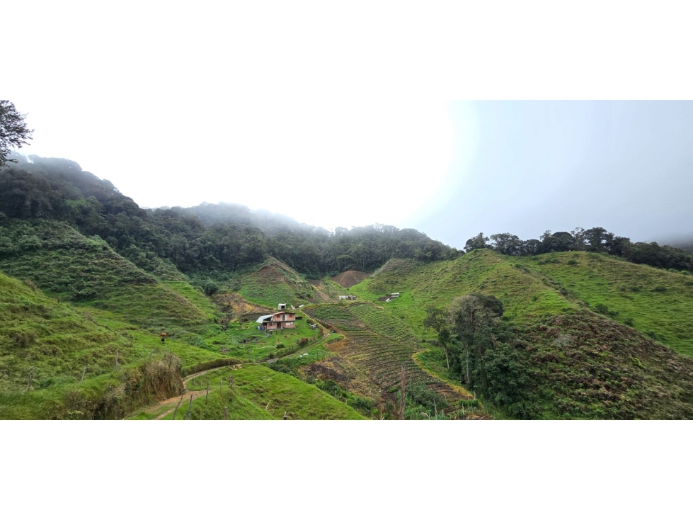 Finca ubicada en el municipio del Carmen de Viboral, Antioquia — foto 6