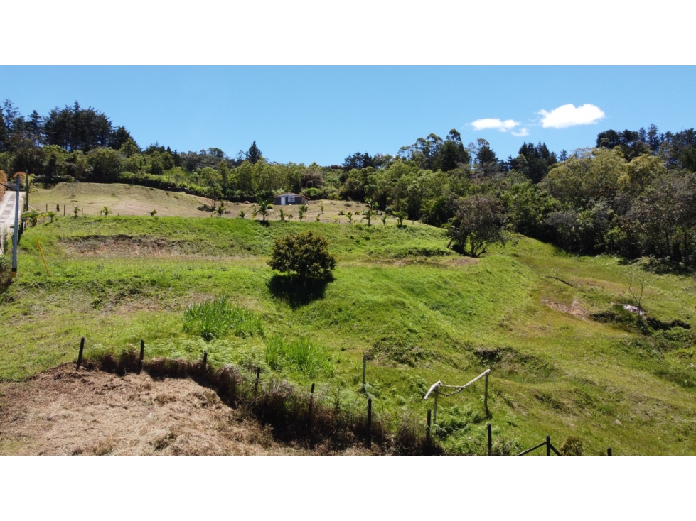Se vende lote en el municipio de San Vicente de Ferrer Antioquia. — foto 5