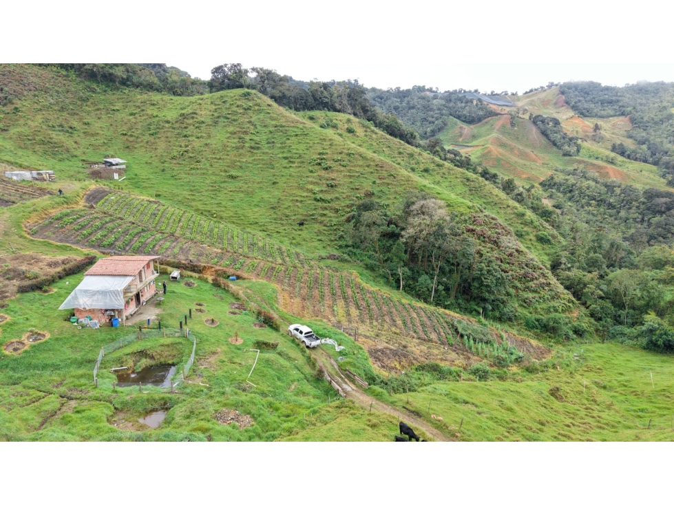 Finca ubicada en el municipio del Carmen de Viboral, Antioquia — foto 2
