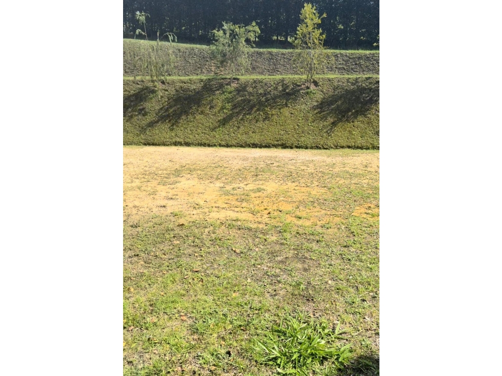 Lote ubicado en el municipio de El Carmen de Viboral Antioquia. — foto 3