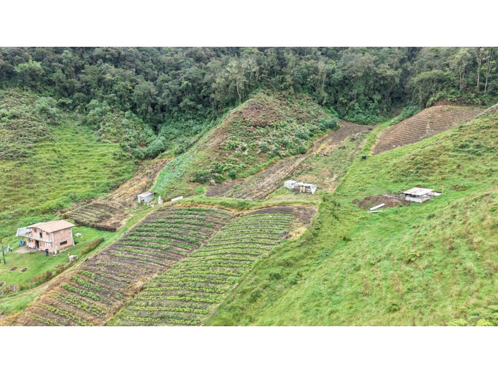 Finca ubicada en el municipio del Carmen de Viboral, Antioquia — foto 5