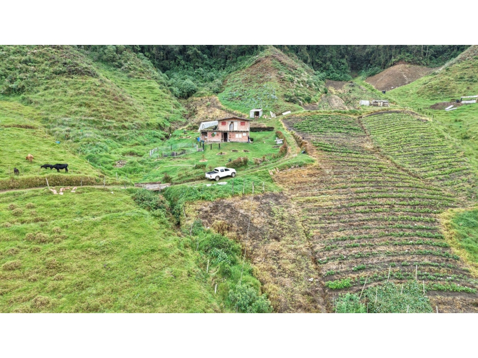 Finca ubicada en el municipio del Carmen de Viboral, Antioquia — foto 3