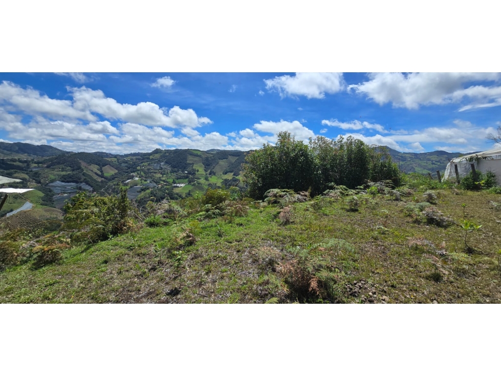Se vende lote ubicado en el municipio de La Ceja, Antioquia.
