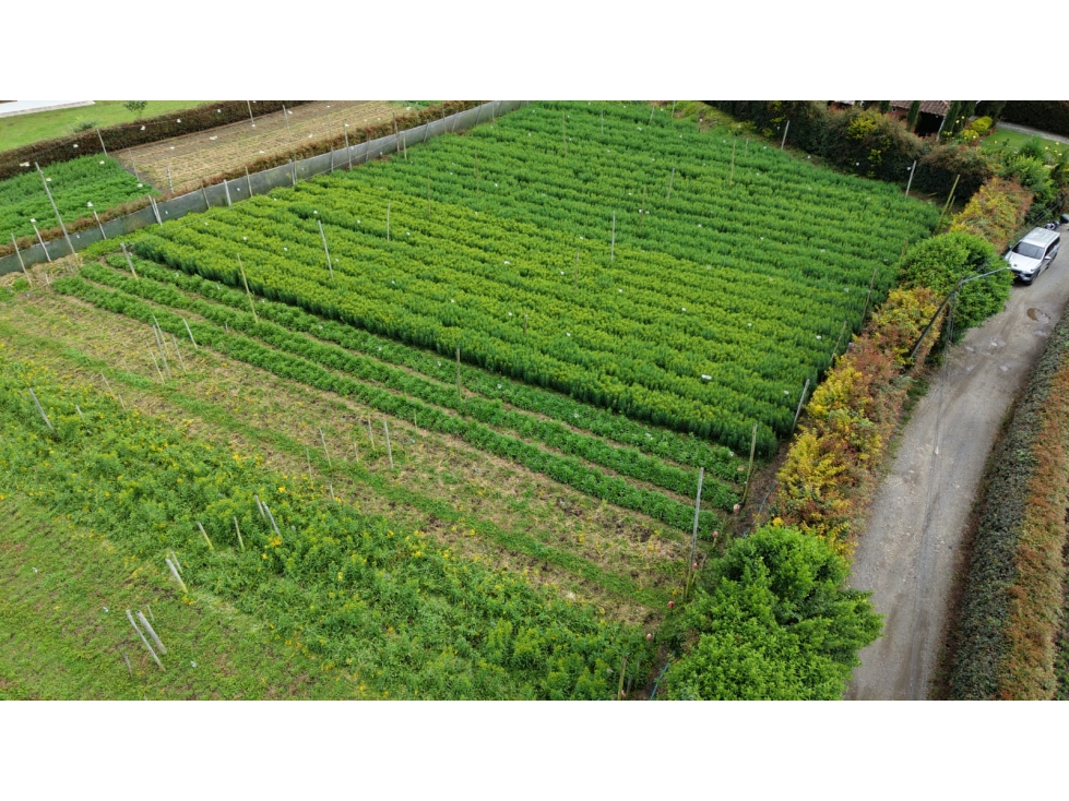 Se vende lote ubicado en el municipio de Rionegro, Antioquia. — foto 2