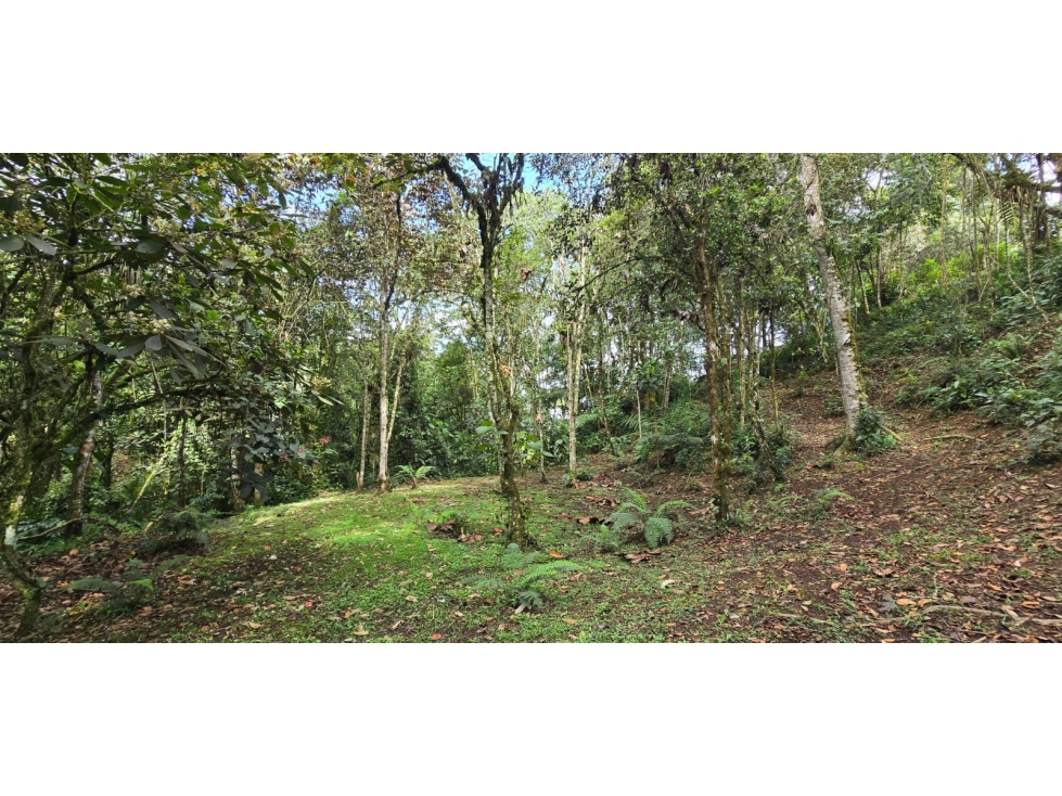 Lote ubicado en la vereda las lomitas, municipio de La Ceja, Antioquia — foto 2