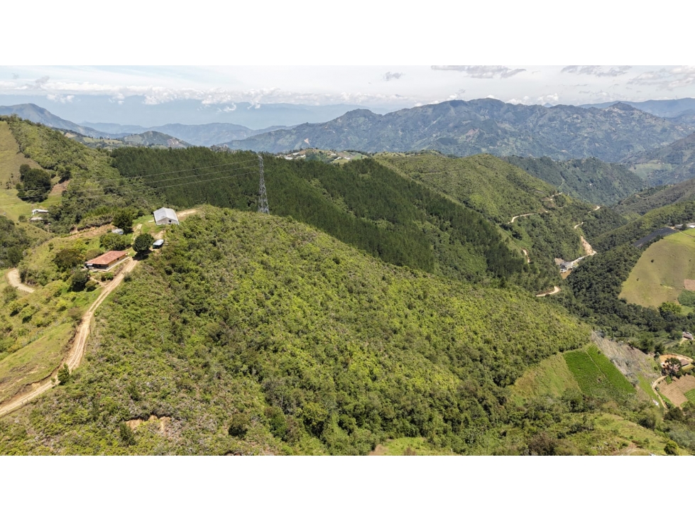 Se vende lote ubicado en el municipio de La Ceja, Antioquia. — foto 6