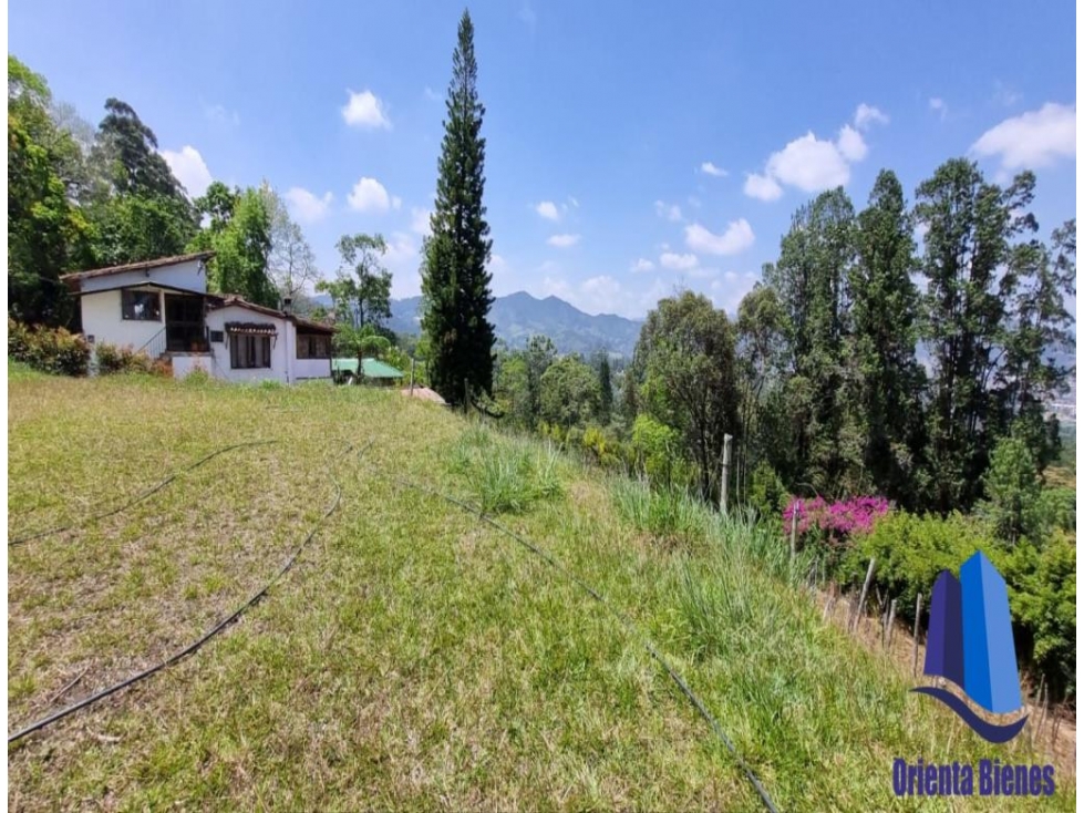 Lote ubicado en el Municipio de La Ceja Antioquia. — foto 2