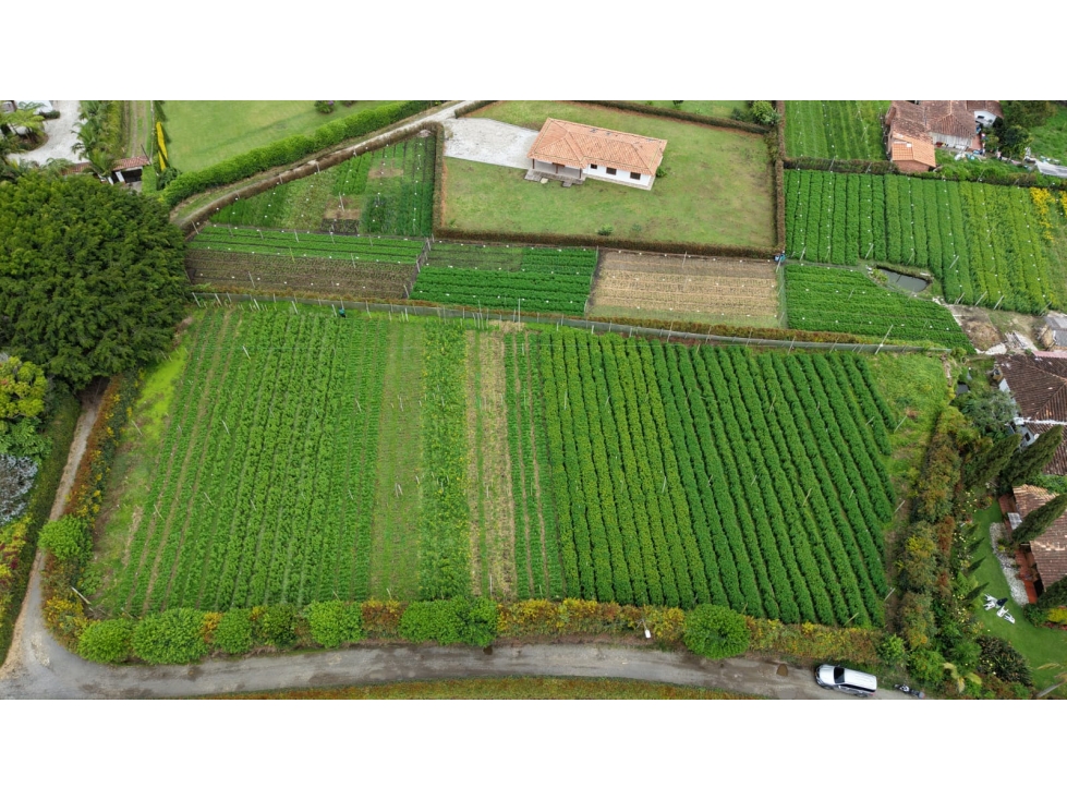 Se vende lote ubicado en el municipio de Rionegro, Antioquia.