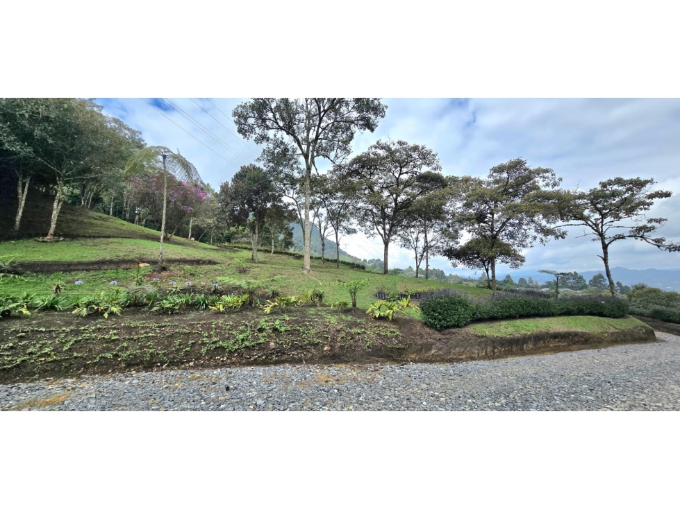 Lote ubicado en la vereda las lomitas, municipio de La Ceja, Antioquia — foto 4