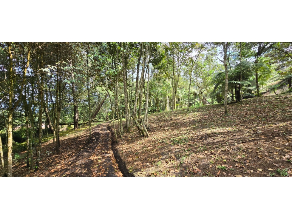 Lote ubicado en la vereda las lomitas, municipio de La Ceja, Antioquia