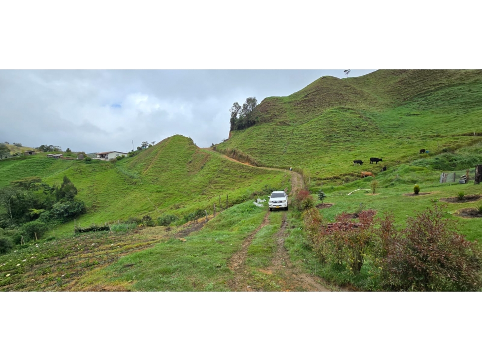 Finca ubicada en el municipio del Carmen de Viboral, Antioquia