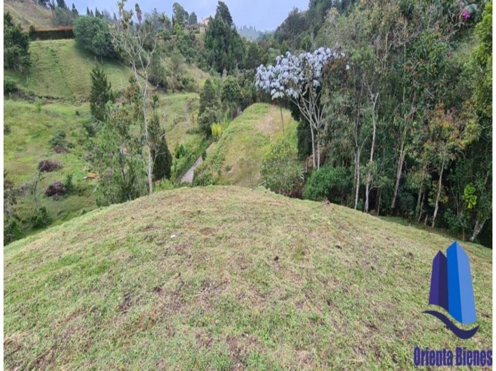 Vendo lote ubicado en el municipio de El Retiro Antioquia. — foto 4