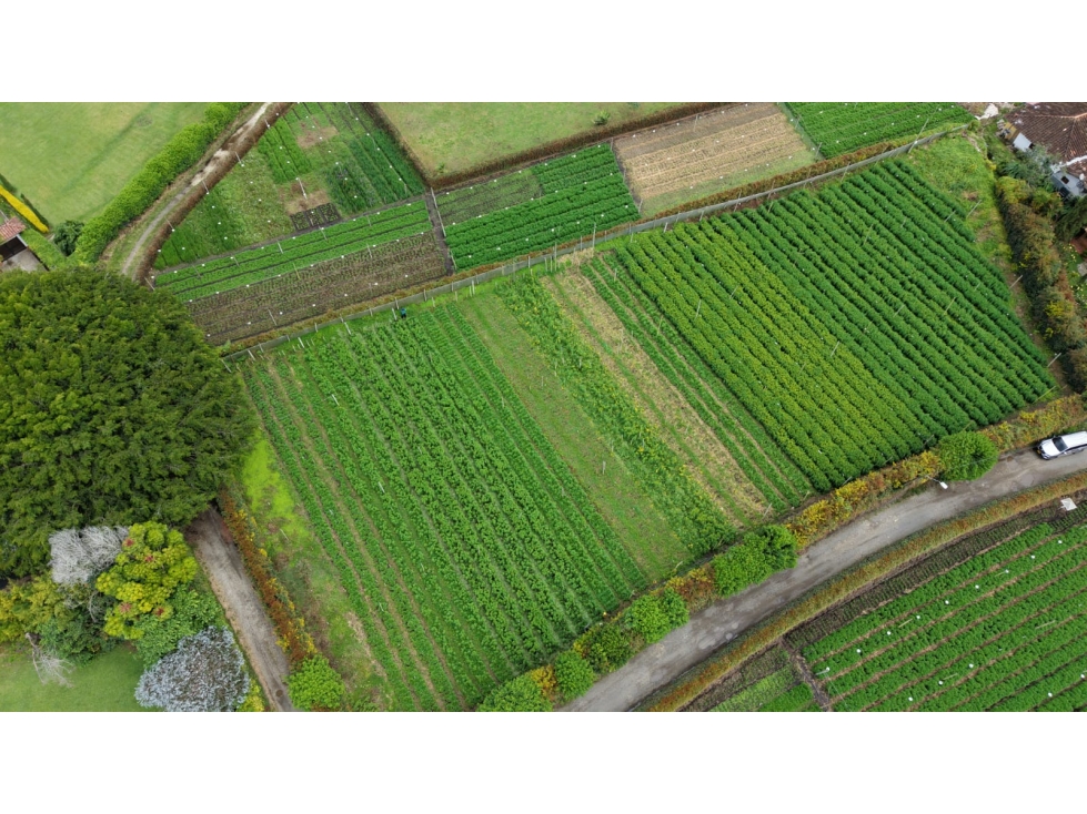 Se vende lote ubicado en el municipio de Rionegro, Antioquia. — foto 3