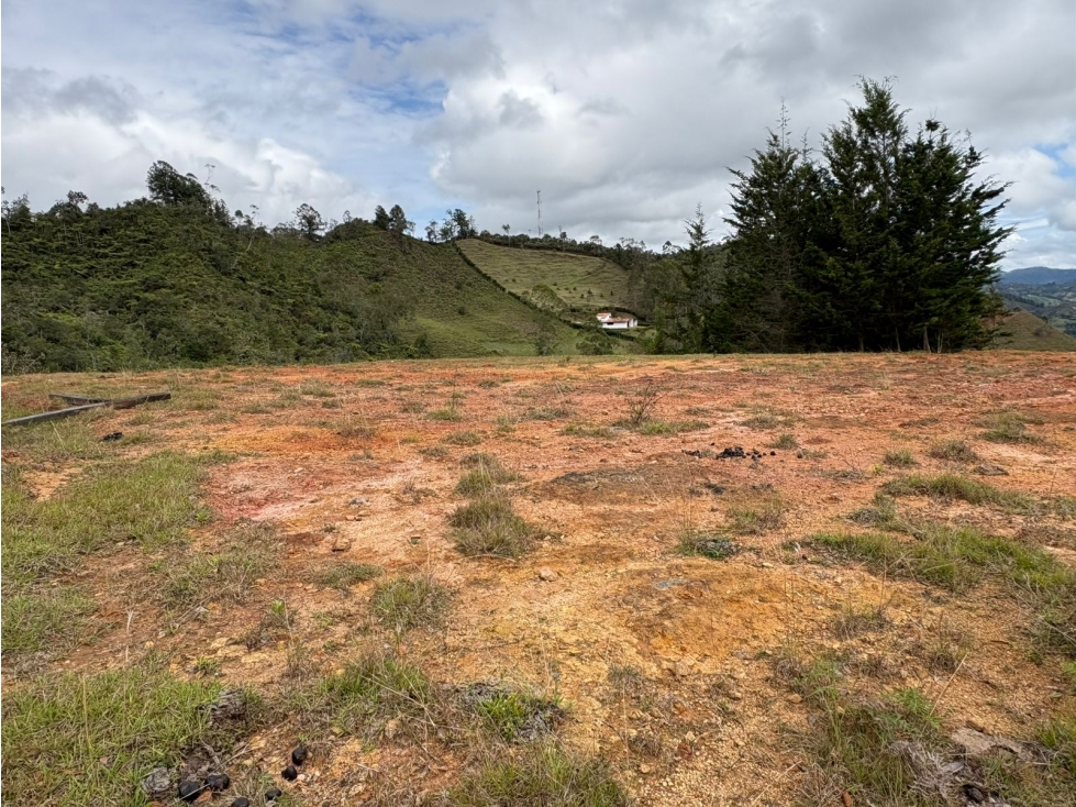 LOTE EN VENTA, EL PEÑOL, ANTIOQUIA. — foto 4